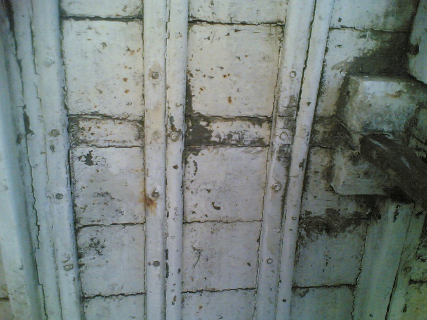 [Immagine: 201264225414_chiglia 08.jpg]